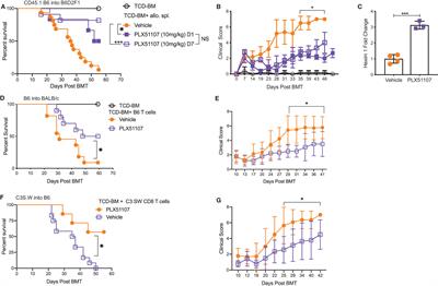 Inhibition of Bromodomain and Extra Terminal (BET) Domain Activity Modulates the IL-23R/IL-17 Axis and Suppresses Acute Graft-Versus-Host Disease